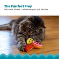 thumbnail image 3 of Catstages Dental Fruit Wedges Catnip Chew Toys, 4 Pack, Multicolored, 3 of 5