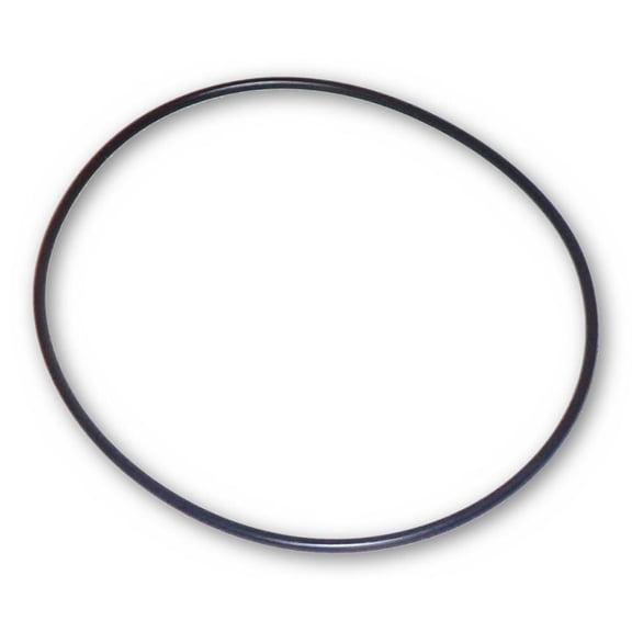 Swimline Hydrotools Model 71428 Replacement Internal O-Ring for Model 71406 and 71406T Pumps with Debris Traps