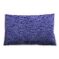 thumbnail image 1 of Ahgly Company Outdoor Rectangular Contemporary Lumbar Throw Pillow, 13 inch by 19 inch, 1 of 5