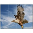 thumbnail image 1 of Bird Picture Ceramic Tile Mural Kitchen Backsplash Bathroom Shower 404164-M43, 1 of 3