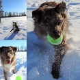 thumbnail image 2 of Squeaky Tennis Ball Dog Toys 3 pack, 2 of 2
