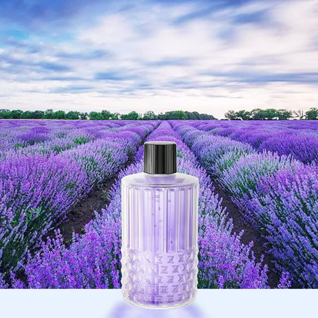 Xihbxyly Inodoro Aromático, Difusor de Aromas de Larga Duración, Elegante Empaque de Regalo, Uso Versátil En Cocinas, Dormitorios y Baños, Ideal para La Decoración Del Hogar, Perfecto para Familiares