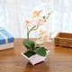 thumbnail image 3 of Flor de seda Artificial, phalaenopsis de doble punta, maceta falsa, decoración de paisaje, planta artificial en maceta, planta verde, 3 of 5