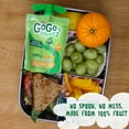 thumbnail image 6 of (4 Pack) GoGo Squeez Apple Mango Snack Pouch, 3.2 oz, 4 Pack, 6 of 7