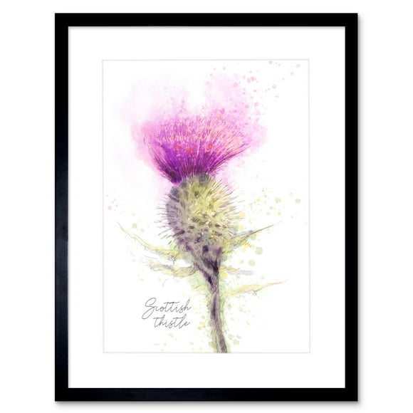 Wee Blue Coo Scottish Thistle Flower Head Watercolour Scotland Framed Art Print
