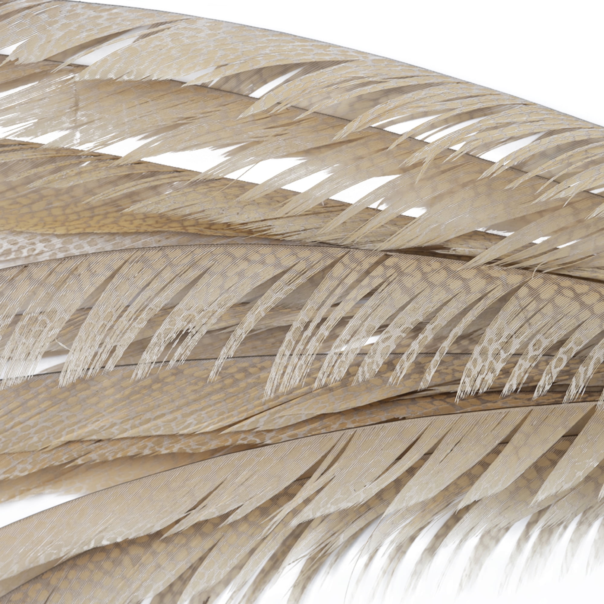 10-100 Pcs Precious Natural Pheasant Feathers 15-20 CM DIY