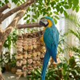thumbnail image 6 of Macaw Toy, Parrot Toys for Large Birds, 14.5 Inch Extra Large Bird Chewing Toy Wall with Natural Wood, Corn Cobs and Rattan Balls, Hanging Foraging Cage Accessories for African Grey, Cockatoos, 6 of 7