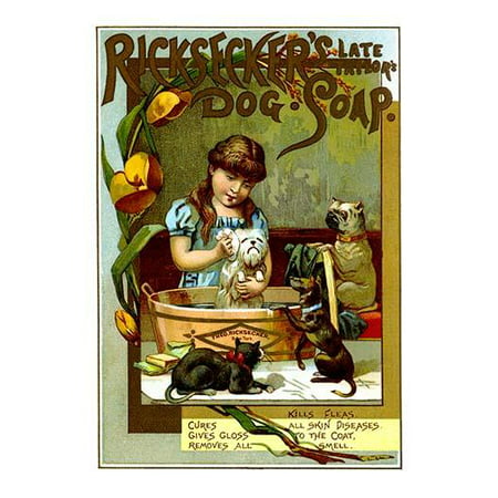 A medical Victorian trade card for a pet soap that cures all skin diseases kills fleas gives gloss to the coat and removes all smell  This veterinary product was for dogs and cats  The picture shows (Best Product To Kill Fleas In Home)