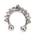 thumbnail image 2 of QIQUWOHUL Nose Rings Hoops C-shaped Point Drill Nose Rings Nose Ring False Nose Nail Fake Nose Piercings Fashion Nose Jewelry, 2 of 4
