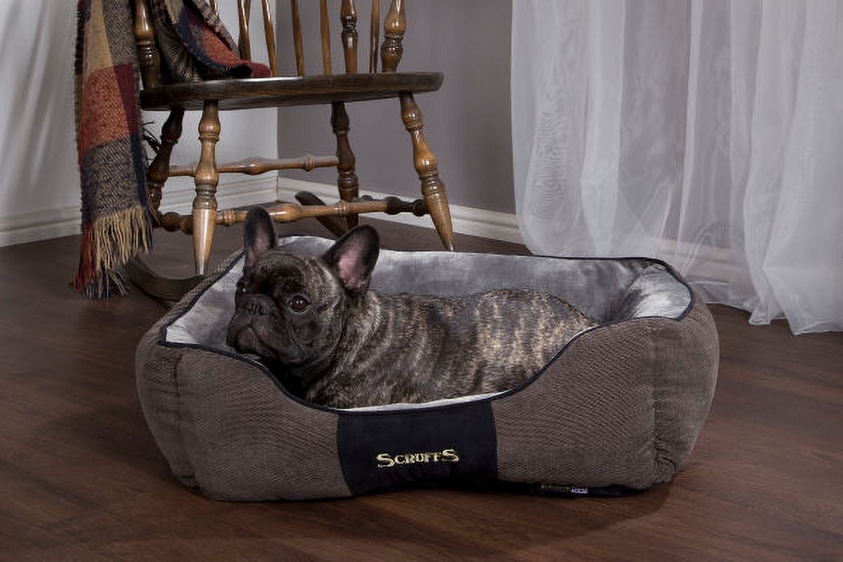 Scruffs chester top dog mattress