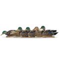 thumbnail image 1 of Avian X Topflight Early Season Mallard Duck Realistic Decoys, Multicolor, 6 Pack, 1 of 10