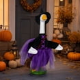 thumbnail image 3 of Halloween Witch Goose Outfit,for 23" Goose, 3 of 6