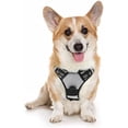 thumbnail image 1 of rabbitgoo Dog Harness  No-Pull Pet Harness with 2 Leash Clips  Adjustable Soft Padded Dog Vest  Reflective No-Choke Pet Oxford Vest with Easy Control Handle for Large Dogs Orange L, 1 of 9