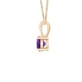 thumbnail image 2 of Angara Collier en Améthyste Naturelle - Pendentif Solitaire Rond en Or Rose 14K avec Broches pour Femmes, 2 of 9