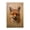 Woodland Fox Face, variant on Stupell Industries Farmhouse Dark Fox Visage Canvas Art, 16 x 24, by Petals Prints Design