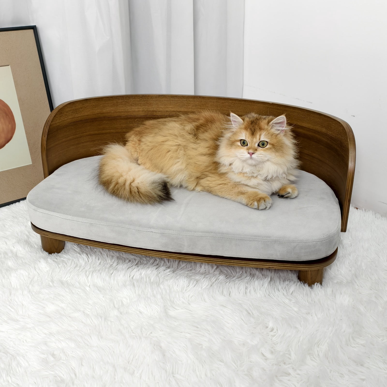 BingoPaw Elevated Pet Sofa Bed Wooden Cat Stool Bed for Small Dogs and Puppies, Waterproof, Removable Cozy Pad