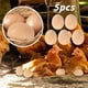 thumbnail image 2 of Huevos de imitación para gallinas: huevos de plástico para entrenamiento, 53 x 44 mm, fomentan la puesta en el gallinero: para avicultura y entrenamiento de gallinas, 2 of 8