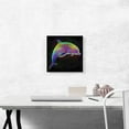 thumbnail image 2 of ARTCANVAS Bottlenose Dolphin Canvas Art Print - Size: 12" x 12" (1.50" Deep), 2 of 9