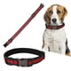 thumbnail image 5 of Productos para mascotas, collares duraderos para perros y gatos, diseñados meticulosamente, 5 of 9