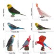 thumbnail image 3 of Modelos Pájaros Artificiales Modelo Loro Realista Estatua Pájaro Jardín Adornos, 3 of 9