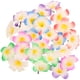 thumbnail image 2 of EeaseMX 24 pasadores de frangipani, exquisitas decoraciones para el cabello, delicados y dulces clips para el cabello, 2 of 8