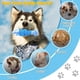 thumbnail image 2 of Juguete Interactivo para Perros que Hace Ruido es Resistente al Masticar y Ayuda a Afilar los Dientes, 2 of 6
