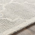 thumbnail image 4 of Surya Starlit collection STR-2306 Light Gray, Denim Rug, 4 of 6