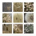 thumbnail image 1 of Great BIG Canvas | Rolled Jennifer Broussard Poster Print entitled Gentle Sway, 1 of 4