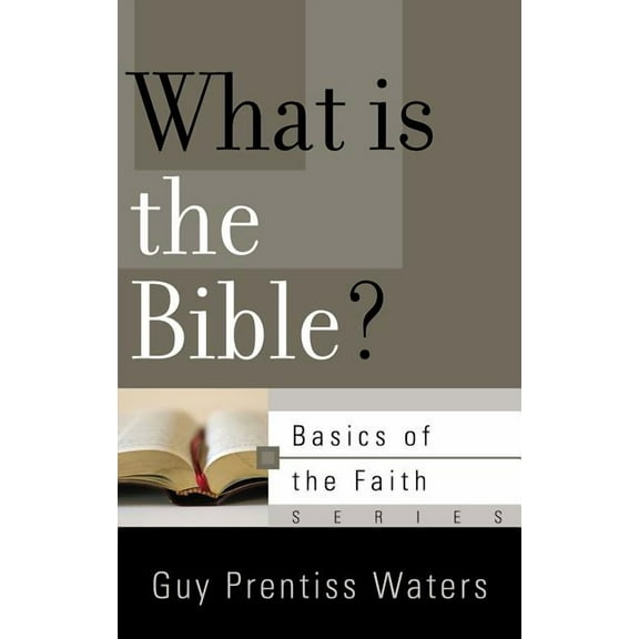Basics of the Faith: What Is the Bible? (Paperback)