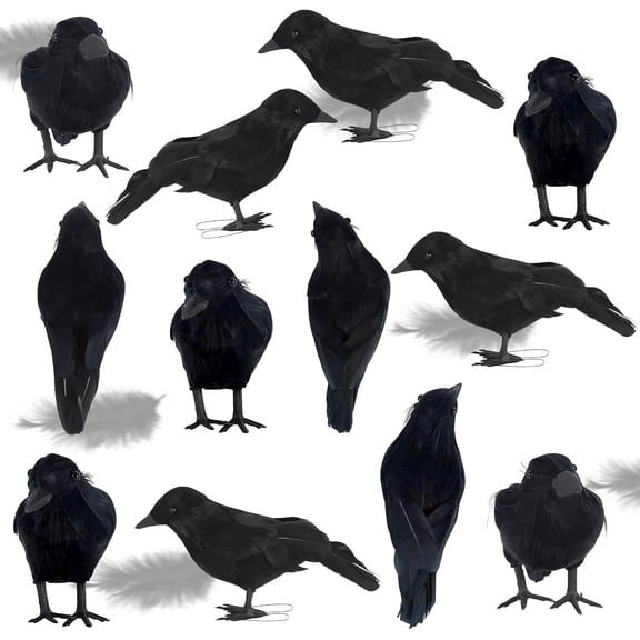 Halloween Birds, Black Feathered Crows, Realistic Looking Halloween Birds Decoration Birds, (12)