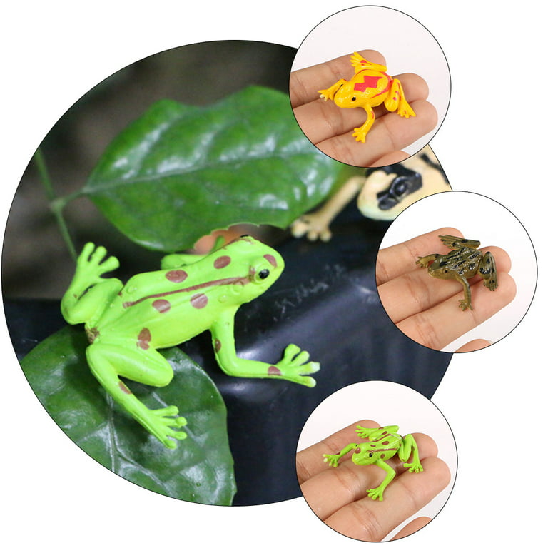 Frogstoytoys Kidspassover Frogs Rubber Bulk Mini Decorations Prizes Party  Toy Realistic Locustrainforest Decorations 