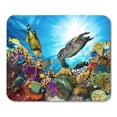 thumbnail image 1 of NUDECOR Tapis de Souris Poisson Récif Corallien Coloré avec de Nombreux Poissons et Tortue de Mer 9x10 Pouces, 1 of 1