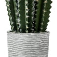 thumbnail image 2 of Vickerman FH181201 17 Po. Aloe Vert en Pot en Béton, 2 of 2