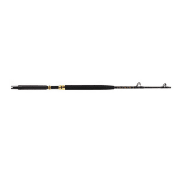 Star Rods EX3080C Aerial Stand-Up Conventional Rod 6' 1Pc MH 30-80Lb