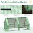 thumbnail image 4 of PetFurnishn 6' x 3' x 3' Portable Mini Greenhouse Outdoor Garden with Large Zipper Doors and Water/UV PE Cover, Green, 4 of 9