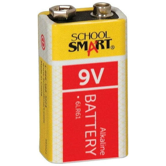 School Smart Alkaline Battery, 9 V