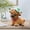 B, variant on Highland Cow Figurine for Tie a Bow Decor, Highland Cows Themed Gifts for Women, Resin Figures Home Desk Decorations Accents, Brown