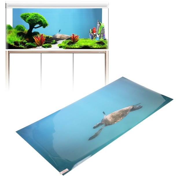 Fish tank best sale paper