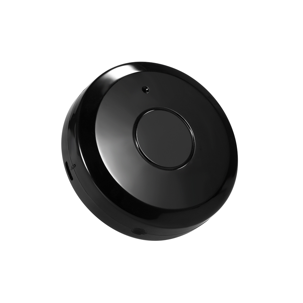 universal remote control google home