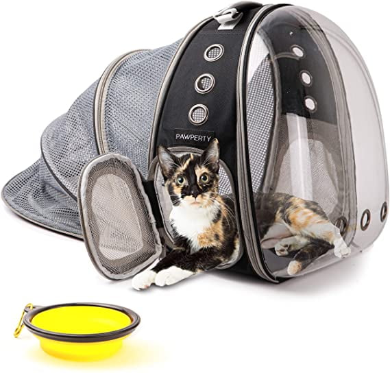 cat bubble backpack carrier