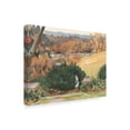 thumbnail image 2 of Watercolor Garden III' Canvas Art by Dianne Miller, 2 of 4