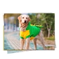 thumbnail image 3 of Disfraz de perro Fladorepet con diseño de dinosaurio, ropa de invierno, color verde, 5XL, 3 of 6