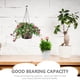 thumbnail image 5 of 3 cadenas colgantes para macetas, cestas de flores y plantas., 5 of 6