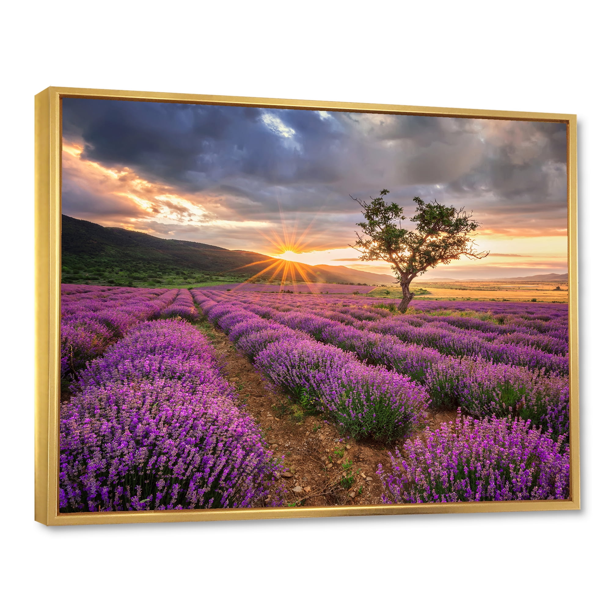 Designart 'Dramatic Clouds and Sunrise Over Lavender Field VIII' Farmhouse Framed Canvas Wall Art Print