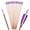 Purple, variant on AMEYXGS New Carbon Archery Arrows, 12 Pieces