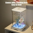thumbnail image 5 of Rojia Mini Aquarium Self Cleaning Desktop Ecology Aquarium LED Lighting Cubes Shaped Aquarium Starters Creatives Rotary Aquarium 7x4.6in, 5 of 7