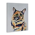 thumbnail image 2 of Tortoiseshell Cat Portrait Canvas Art, 24 x 30, Made In USA, 2 of 6