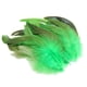 thumbnail image 3 of 50 Uds. de plumas para manualidades DIY, accesorios de artesanía, decoraciones de plumas de pollo ligeras y suaves portátiles para fabricación de Verde BLESIY Plumas para manualidades, 3 of 8