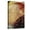 Canvas, variant on Art.com Danae Art Print by Gustav Klimt, 12" x 18"