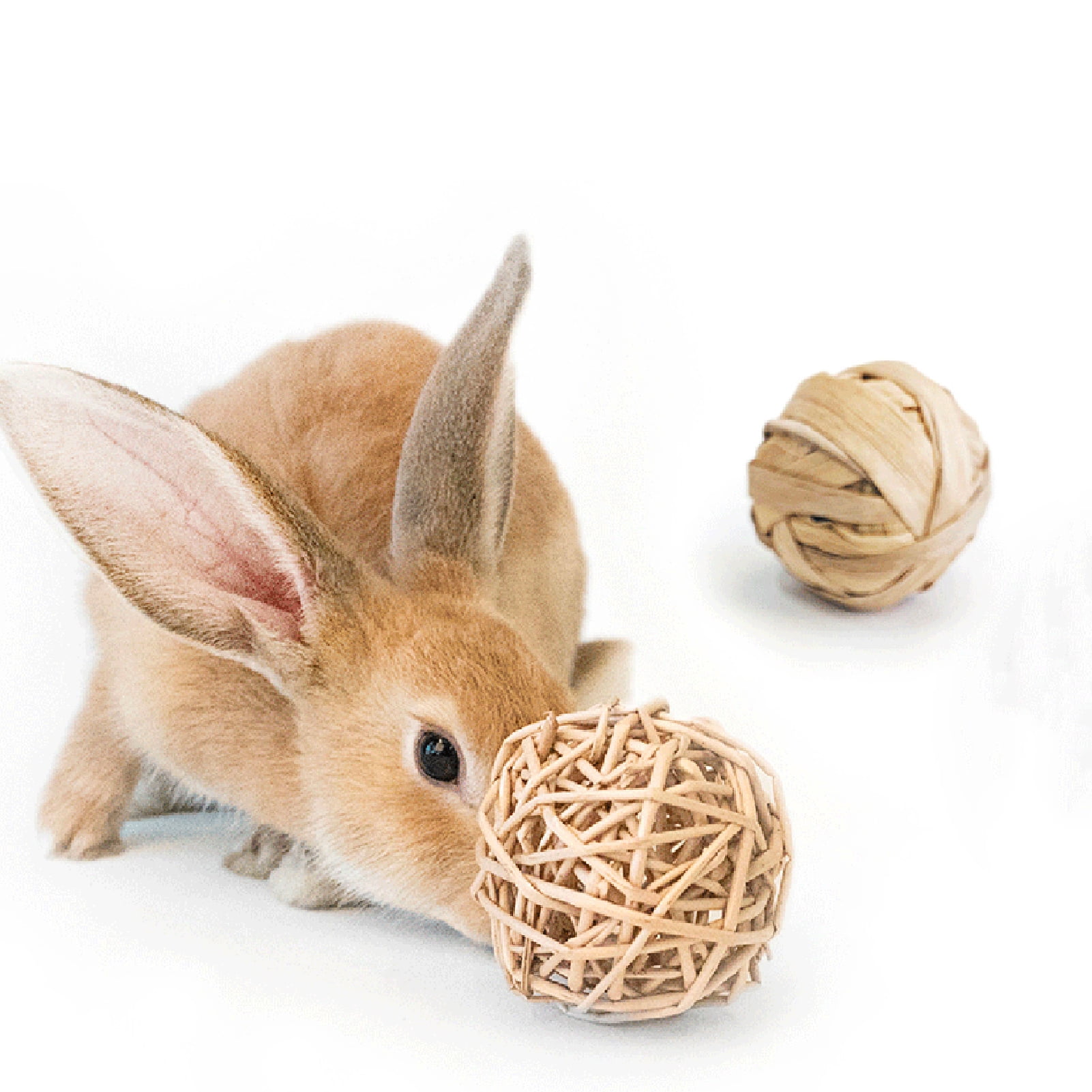 DOPI 6Pcs/Set Molar Toy Healthy Attractive Plastic Hamster Wooden Rattan Ball Set for Squirrels